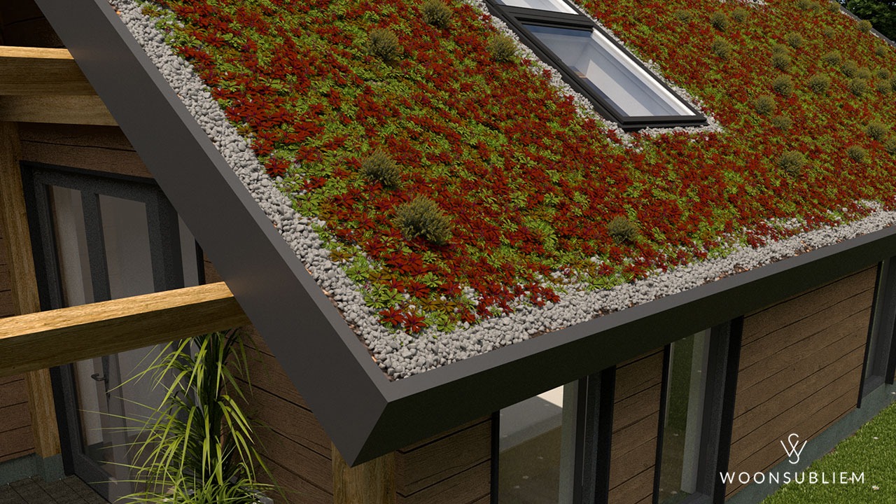 Woning in Denekamp #322 3 detail sedum dak