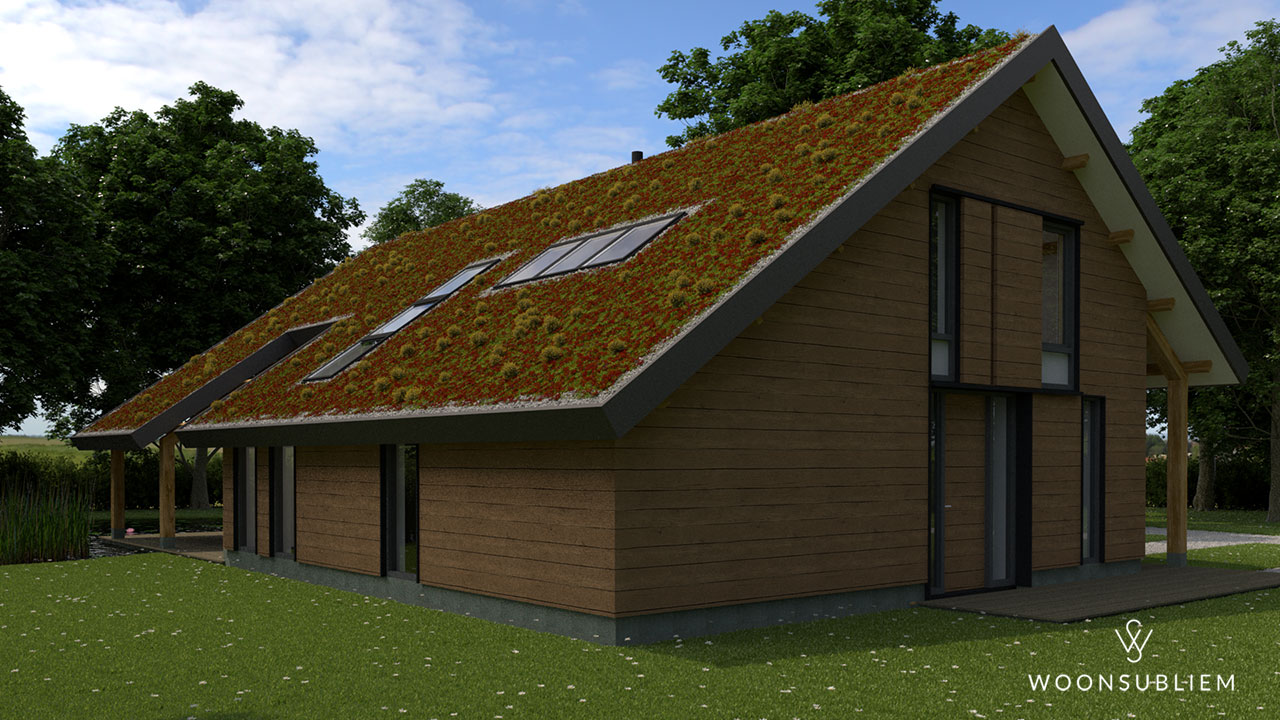 Woning in Denekamp #322 2 schuurwoning met sedum dak en zwemvijver achterzijde